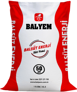 Balsüt Enerji
