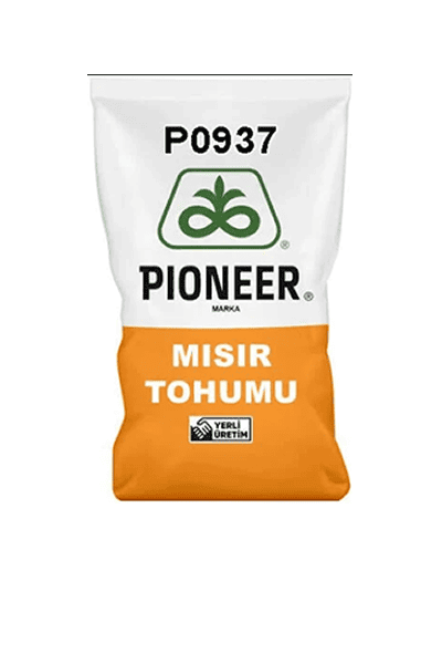 Pioneer P0937