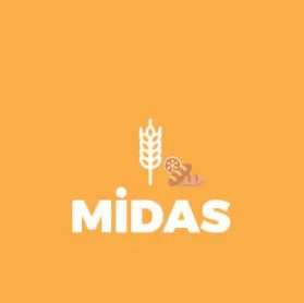 PROGEN MİDAS