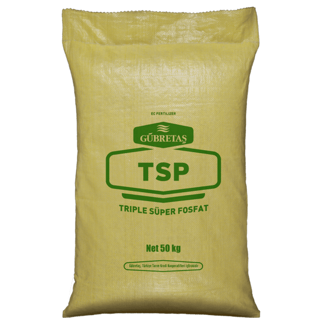 TSP