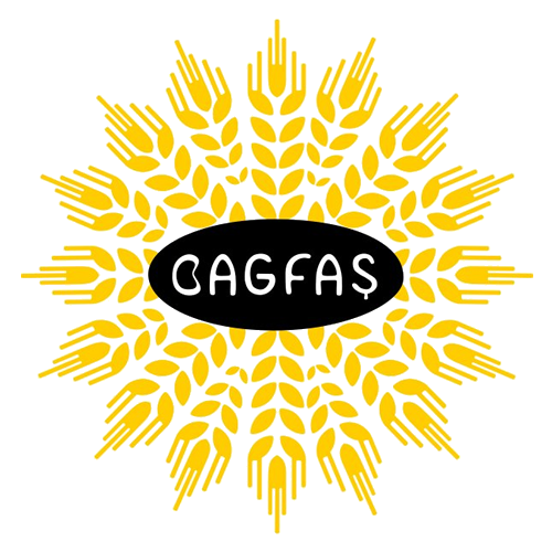 BAGFAŞ